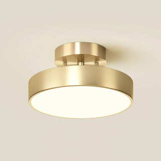 Meridian Rotatable LED Ceiling Light-Neutral Decor