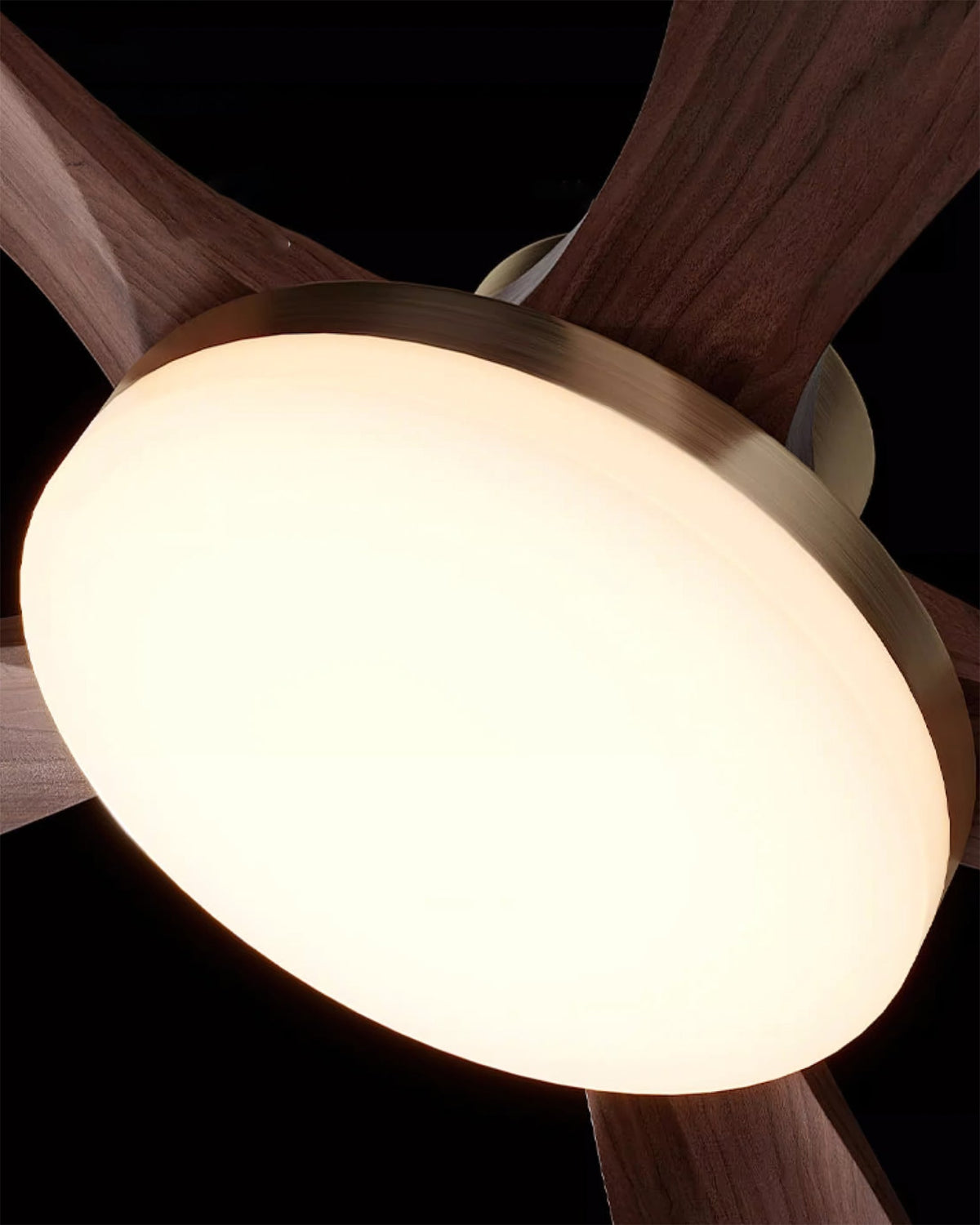 Another view of the Minka Ceiling Fan Light in a home environment