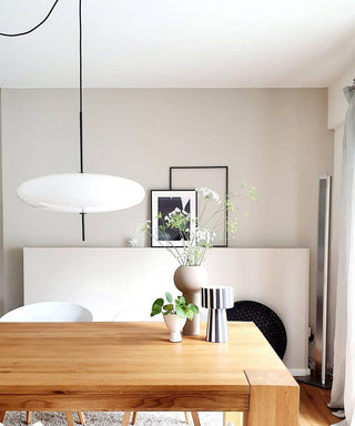 Lustra Suspension Noir Peint Réuni pour Salon