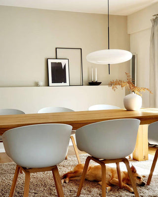 Lustra Suspension Noir Peint Réuni pour Salon