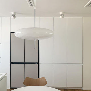 Lustra Suspension Noir Peint Réuni pour Salon
