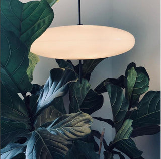 Lustra Suspension Noir Peint Réuni pour Salon