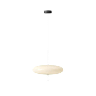 Lustra Suspension Noir Peint Réuni pour Salon