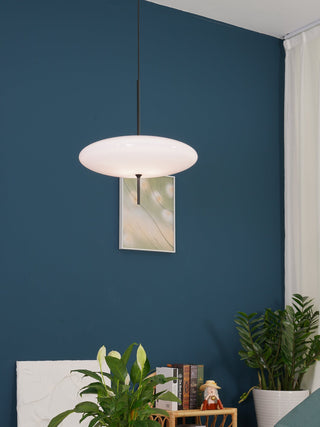 Lustra Suspension Noir Peint Réuni pour Salon