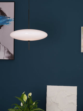 Lustra Suspension Noir Peint Réuni pour Salon
