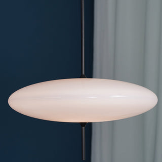 Lustra Suspension Noir Peint Réuni pour Salon