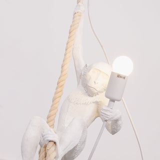 Zalira Suspension Artistique en Résine Corde