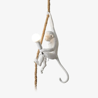 Zalira Suspension Artistique en Résine Corde