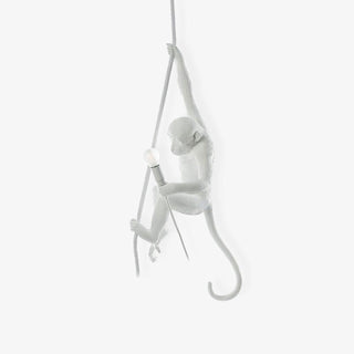Zalira Suspension Artistique en Résine Corde