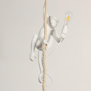 Zalira Suspension Artistique en Résine Corde