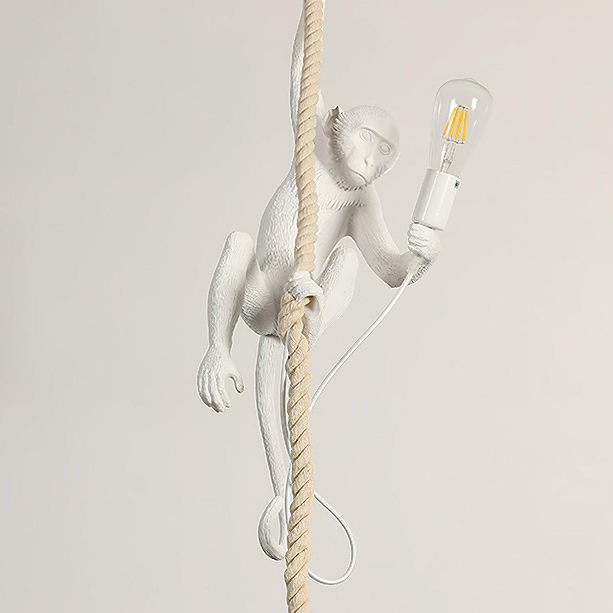 Zalira Suspension Artistique en Résine Corde