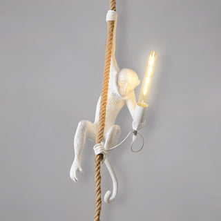 Zalira Suspension Artistique en Résine Corde