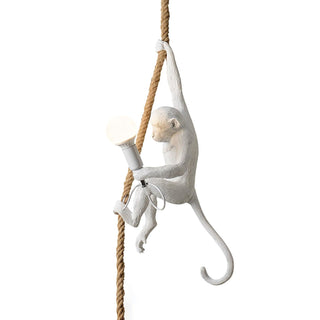 Zalira Suspension Artistique en Résine Corde