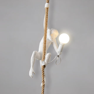 Zalira Suspension Artistique en Résine Corde