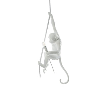 Zalira Suspension Artistique en Résine Corde