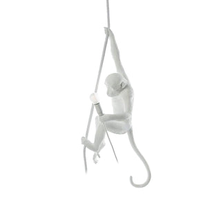 Zalira Suspension Artistique en Résine Corde
