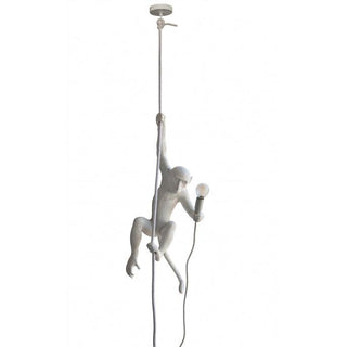 Zalira Suspension Artistique en Résine Corde