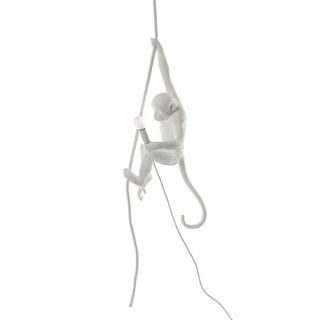 Zalira Suspension Artistique en Résine Corde