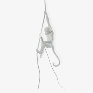 Zalira Suspension Artistique en Résine Corde