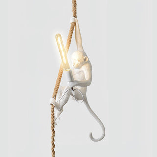 Zalira Suspension Artistique en Résine Corde