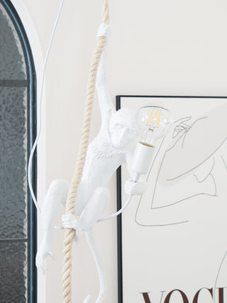 Zalira Suspension Artistique en Résine Corde