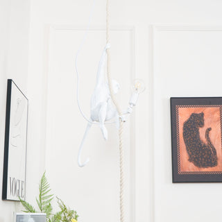 Zalira Suspension Artistique en Résine Corde