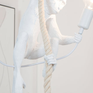 Zalira Suspension Artistique en Résine Corde