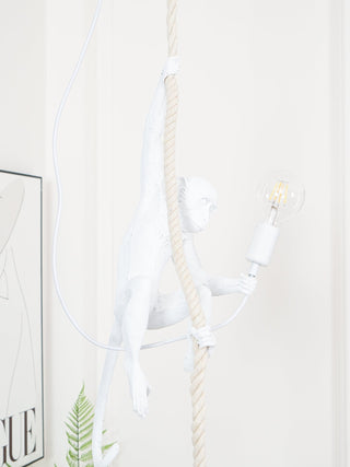 Zalira Suspension Artistique en Résine Corde