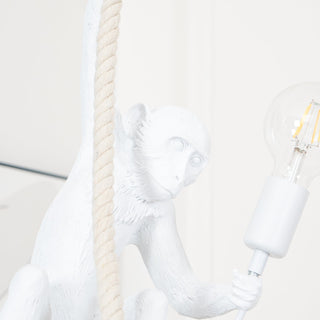 Zalira Suspension Artistique en Résine Corde