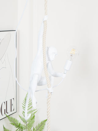 Zalira Suspension Artistique en Résine Corde