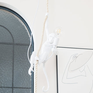 Zalira Suspension Artistique en Résine Corde