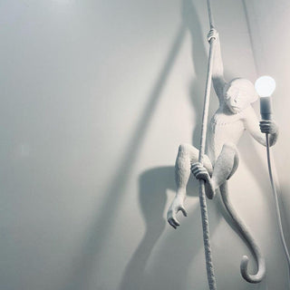 Zalira Suspension Artistique en Résine Corde