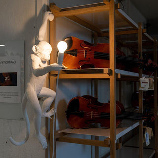 Acoustic Art Unique Singe Résine Applique Murale