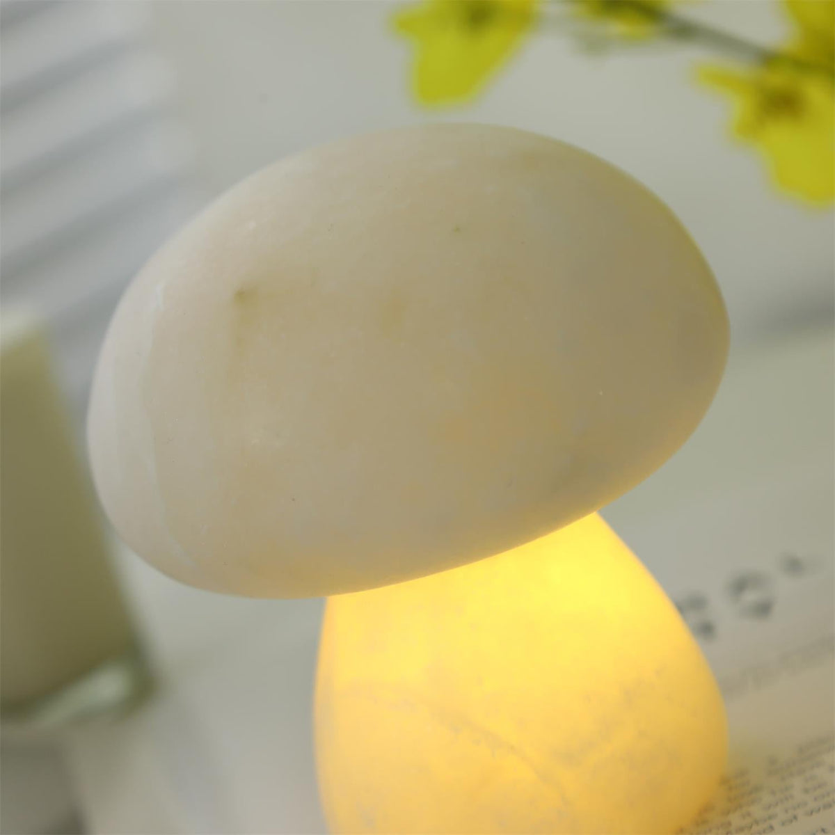 Fungi Lampe de Table (Batterie Intégrée)