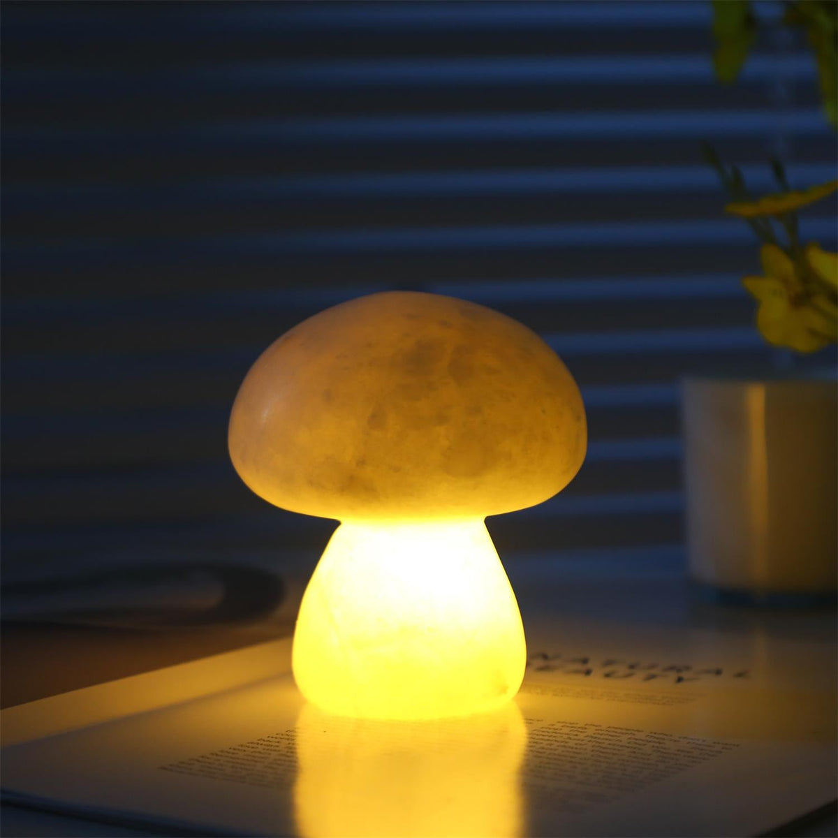 Fungi Lampe de Table (Batterie Intégrée)