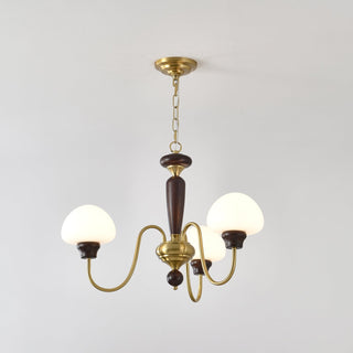 Lustra Lustre Laiton Bois Champignon Classique