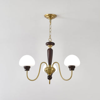 Lustra Lustre Laiton Bois Champignon Classique