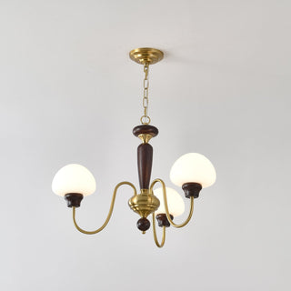 Lustra Lustre Laiton Bois Champignon Classique