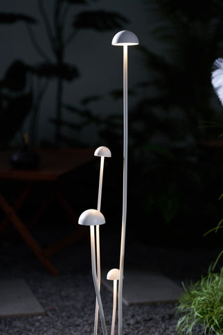 Nolv Suspension Extérieur