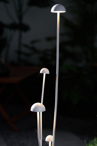 Nolv Suspension Extérieur