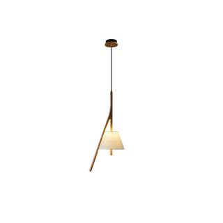 Zovenarae Triangulaire Bois Pendentif Lumière