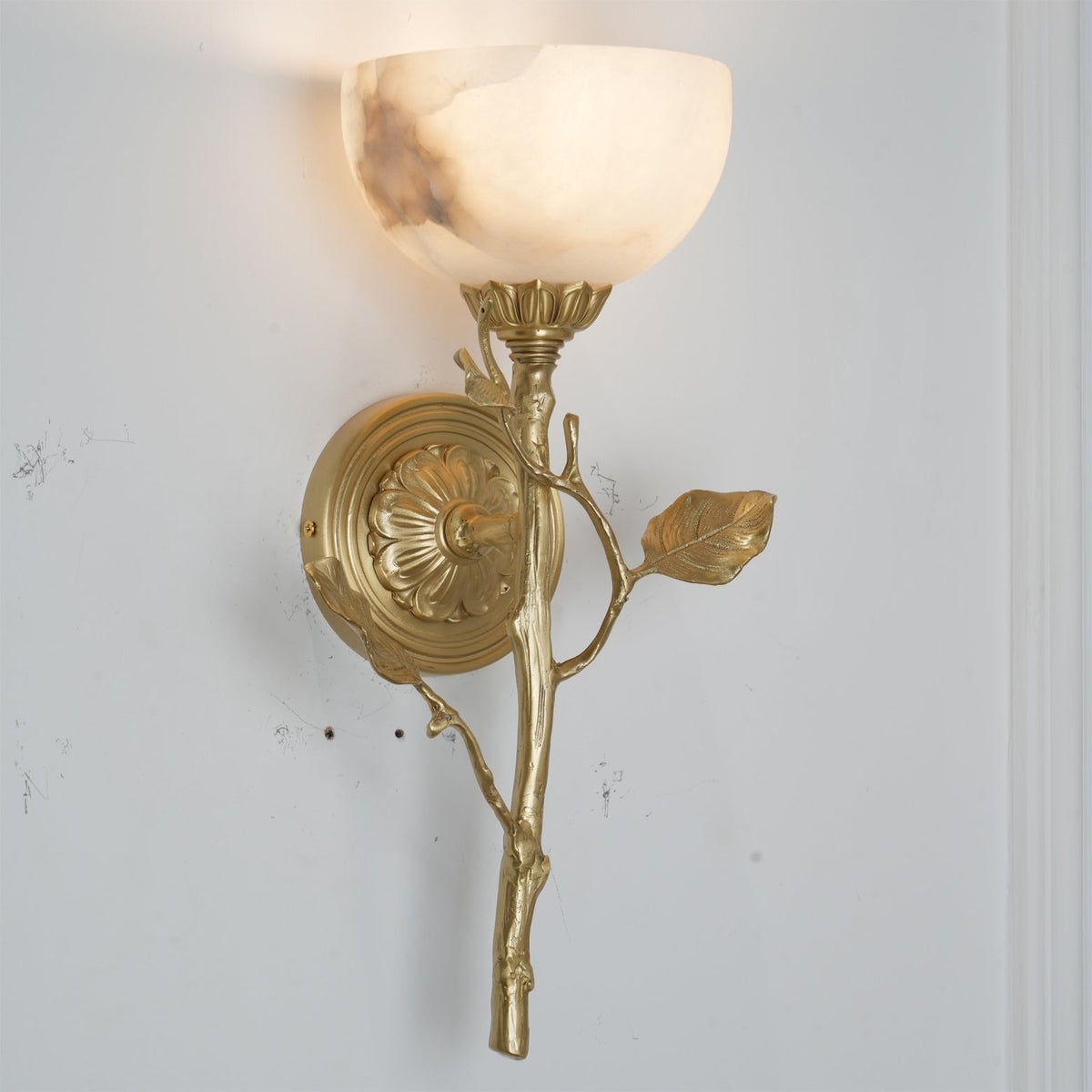 Detail shot focusing on the brass metal fixture and wall mounting plate.