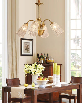 Lustra Lustre Illumination Audacieuse Élégante