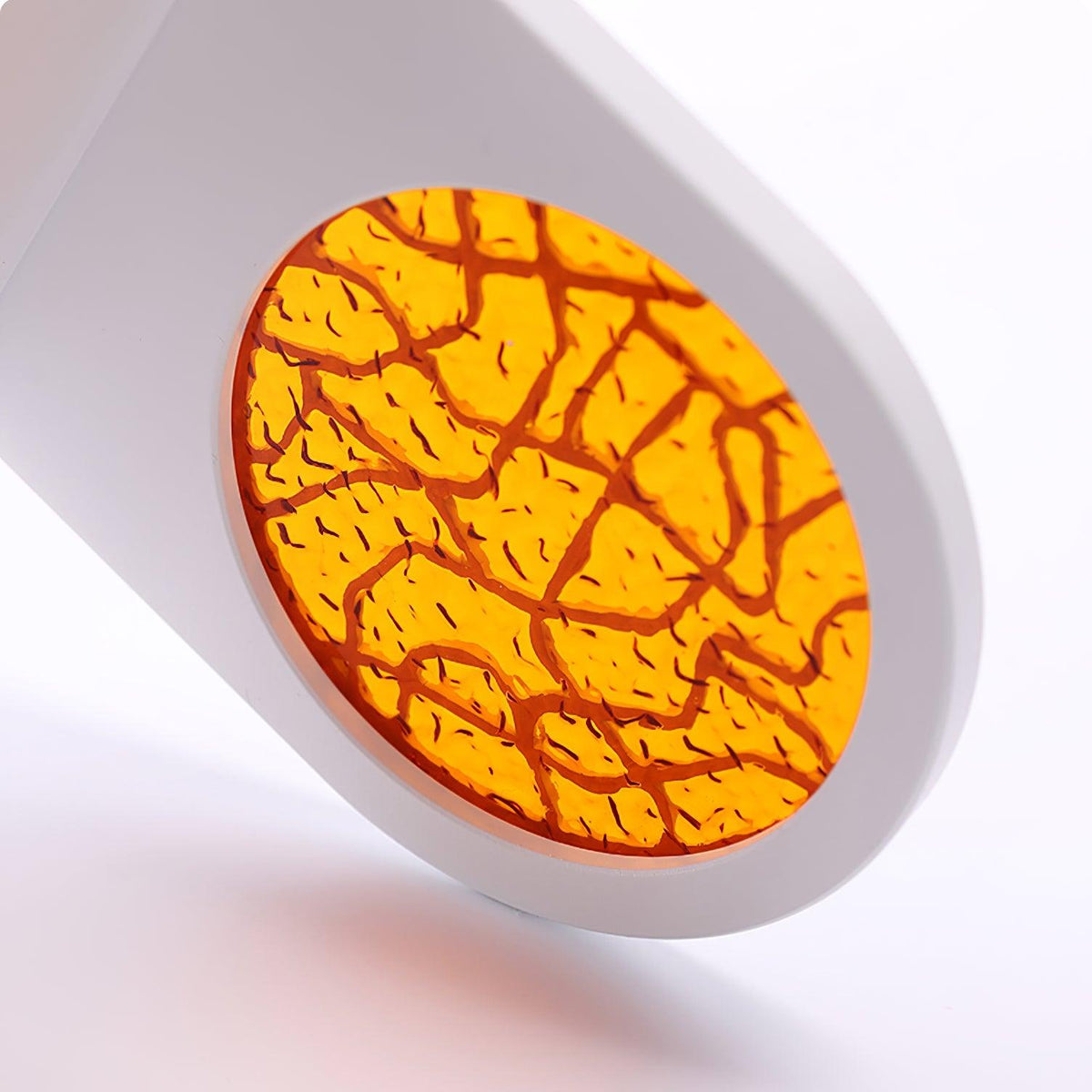 Sylvenae Applique Murale LED Ajustable