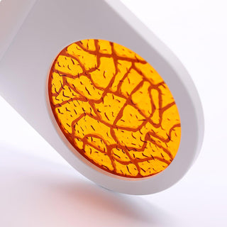 Lustra Applique Murale LED Ajustable
