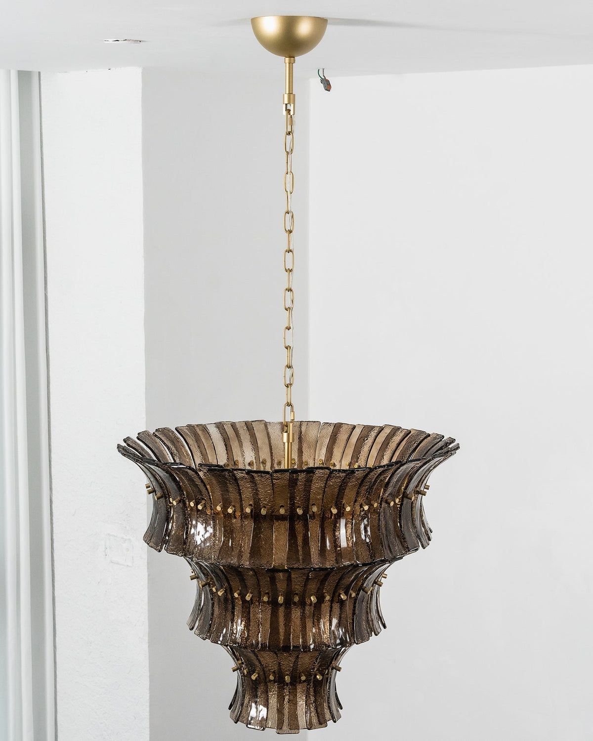Sororissa Lustre