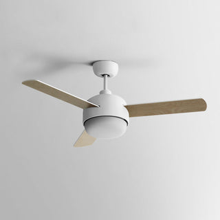 Cirareon Ventilateur de plafond lumineux