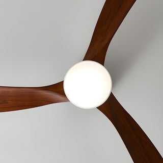 Ventilateur de plafond nordique en bois Ezra avec lumière