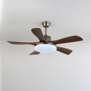 Ventilateur de Plafond Luminaire Aurelia en Bois