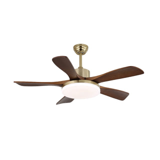 Ventilateur de Plafond Luminaire Aurelia en Bois